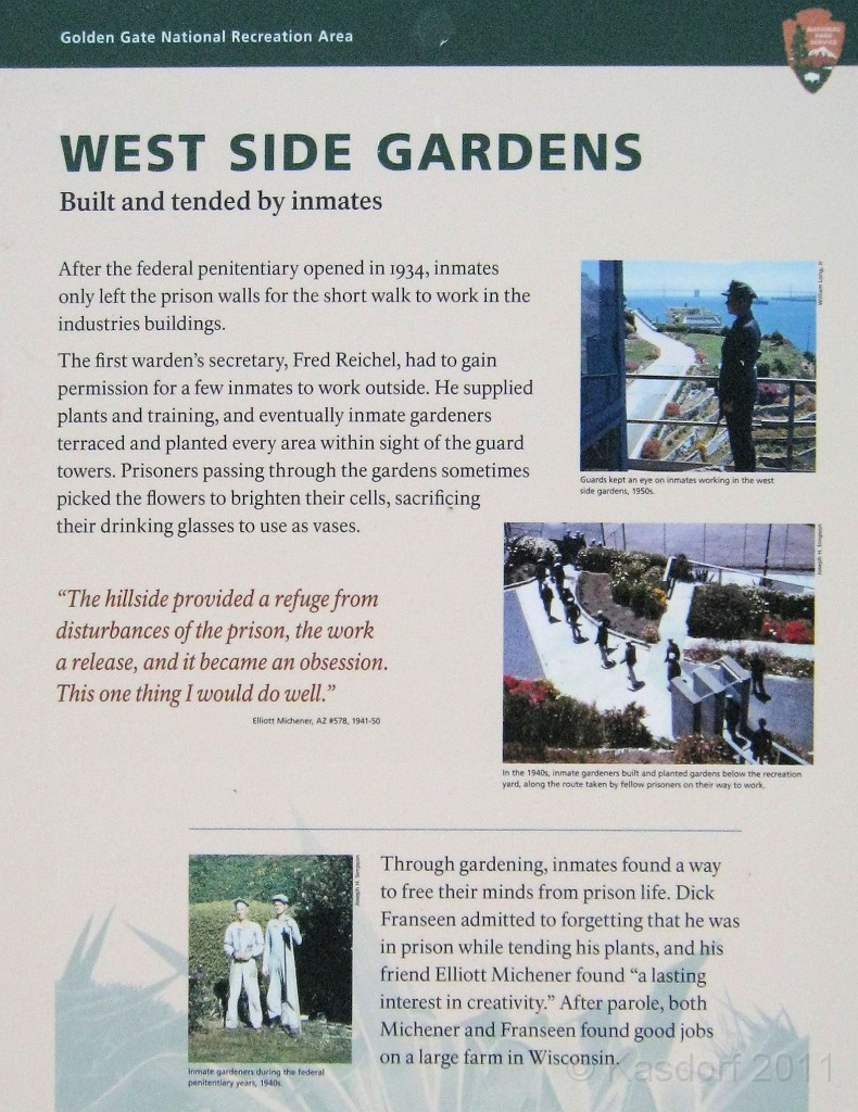 2011 Bay 2 Breakers Saturday 0741.JPG - I was able to participate in the 2011, 100th anniversary of the San Francisco Bay to Breakers 12K race. A great weekend for sight seeing and racing.